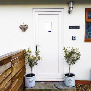 two potted trees sitting in front of a door at The Annexe, Mockbeggar in Ringwood