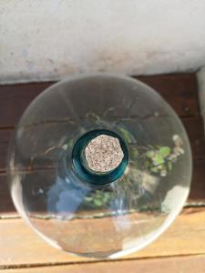 um vaso de vidro com uma planta dentro dele em Casa Segota em Veli Iz