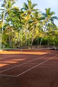a tennis court with palm trees in the background at Kûara Hotel in Arraial d'Ajuda
