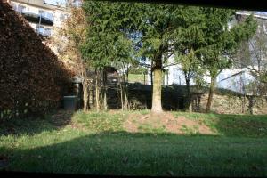 A garden outside Casa Andres