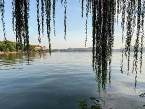 杭州市にある7 Days Premium Hotel Hangzhou West Lake Broken Bridge Zhejiang Universityの木の下からの水の景色