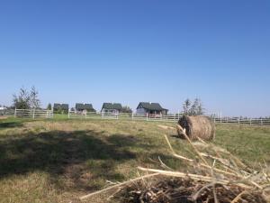 um fardo de feno num campo ao lado de uma cerca em Letnisko nad jeziorem em Skulsk