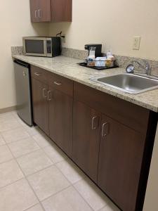 a kitchen counter with a sink and a microwave at Quality Inn & Suites in Prestonsburg