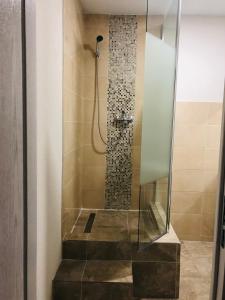 a bathroom with a shower with a glass door at Carla Maria S Hause in Gammertingen +109 photos