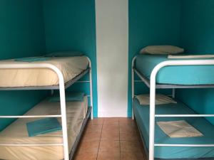 Darwin Hostel客房内的一张或多张床位