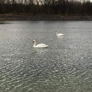 Fotografie z fotogalerie ubytování Asiatisches Landhaus v destinaci Braunsbedra