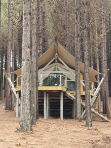 a tree house in the middle of the woods at Tedesco Eco Park in São Francisco de Paula