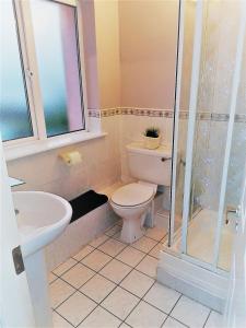 a bathroom with a toilet and a shower at Youghal in Youghal