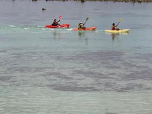 a group of people kayaking on a body of water at Panama Beachfront Apartments, Rarotonga in Rarotonga