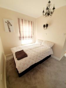 1 Bedroom Apartment In Chelmsford Centre