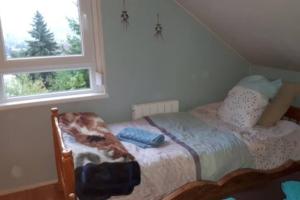 a bedroom with a bed and a window at le familial avec spa, sauna salle de jeux in Xonrupt-Longemer