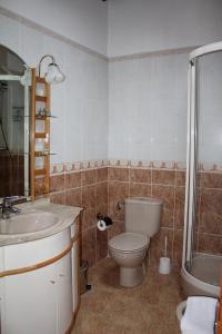y baño con aseo, lavabo y ducha. en Casa de la Parra, en Mogarraz