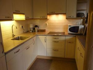 A kitchen or kitchenette at De Galeriet Giethoorn