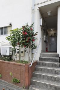 a set of stairs with two trees with red flowers at G&R House 201 in Tokyo