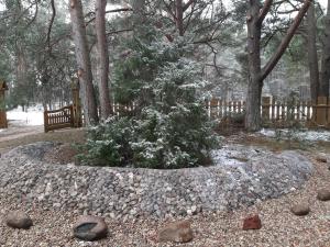 Kempings Videnieki في Liepene: حديقة بها شجرة عيد الميلاد وجدار حجري
