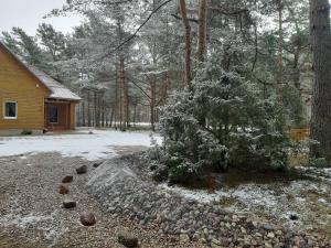 uma árvore de Natal coberta de neve em frente a uma casa em Kempings Videnieki em Liepene