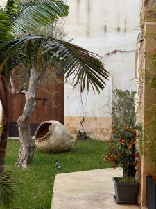 Zahrada ubytování B&B Palazzo Corselli
