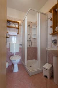 een badkamer met een douche en een toilet bij Villa Confort Exclusive in Rovinj