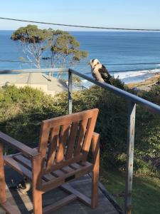 a monkey sitting on a rail next to a bench at Otway Blue in Wye River