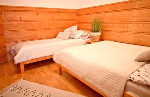 a room with two beds and a plant in it at Willa Przy Skoczni in Zakopane