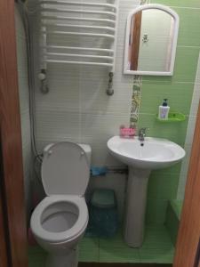 een badkamer met een toilet en een wastafel bij Двохповерховий будинок з двома апартаментами in Truskavets