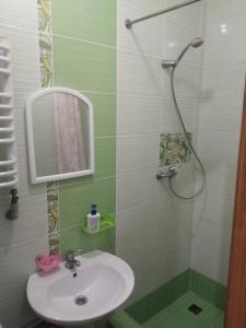 een badkamer met een wastafel en een douche bij Двохповерховий будинок з двома апартаментами in Truskavets
