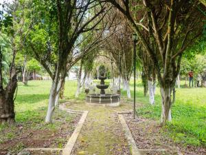 a park with a fountain in the middle of trees at Rancho Hotel El Carmen in Tlapacoyan