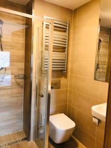 łazienka z toaletą i umywalką w obiekcie Hotel Korona w Kłodzku
