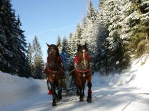 Huéspedes de Olza Karczma i pokoje