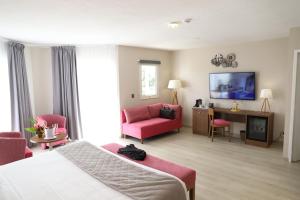 TV a/nebo společenská místnost v ubytování Hôtel Saint-Georges
