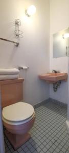 łazienka z toaletą i umywalką w obiekcie Rosthern hotel w mieście Rosthern