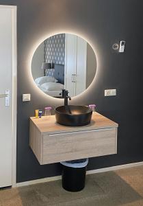 een badkamer met een wastafel en een spiegel bij Dallinga in Sluiskil