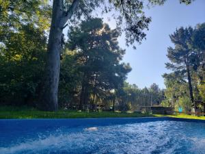 a swimming pool in a park with a tree at Cabaña El Refugio in Open Door