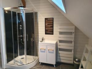 a bathroom with a shower and a sink at Le petit manoir d'Hebuterne in Hébuterne