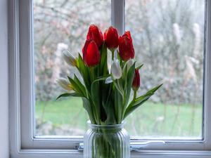 a vase of red and white flowers in a window at Joe House in Gunnerside