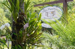 Um jardim em Pousada Villa Maritima