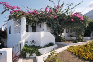 Um jardim em Hotel Villaggio Stromboli - isola di Stromboli