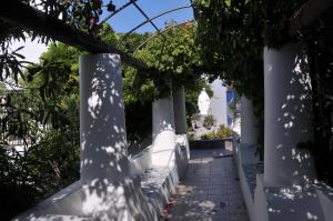 Um jardim em Hotel Villaggio Stromboli - isola di Stromboli