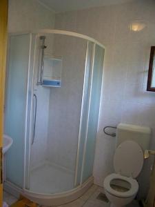 a bathroom with a shower and a toilet at Apartments Fran-30m from sea in Vinišće