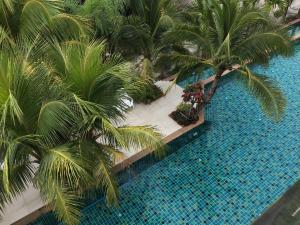 an overhead view of a swimming pool with palm trees at Rimnatee Resort Trang in Trang