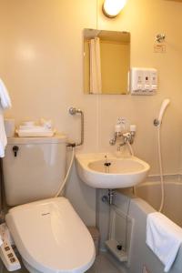 函館的住宿－Hotel Sharoum Inn 2，一间带卫生间和水槽的浴室