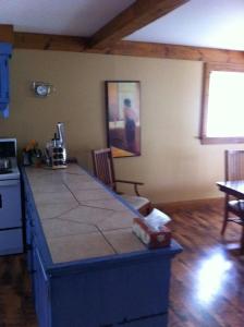 a kitchen with a counter top in a room at Seymour Point Cottage in Campbellford
