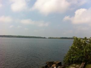a view of a large body of water at Seymour Point Cottage in Campbellford
