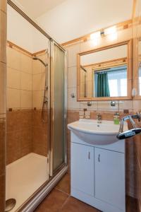 W łazience znajduje się umywalka i prysznic. w obiekcie Hotel U Mydlářů w mieście Mnichovo Hradiště