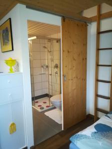 a bathroom with a shower and a toilet at Montanara in Meiringen