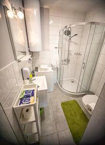 a bathroom with a shower and a toilet and a sink at Apartament Marklissa in Leśna