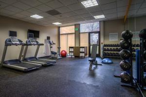 a gym with several treadmills and machines in a room at Holiday Inn Express Springdale - Zion National Park Area, an IHG Hotel in Springdale