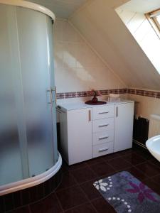 a bathroom with a shower and a sink and a toilet at Ferienwohnung Blick zu den Sternen in Hohenbrück