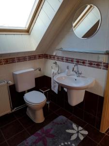 a bathroom with a toilet and a sink and a mirror at Ferienwohnung Blick zu den Sternen in Hohenbrück