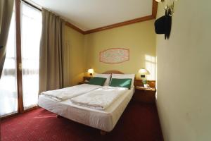 a bedroom with a bed and a large window at Palace Pontedilegno Resort in Ponte di Legno +28 photos